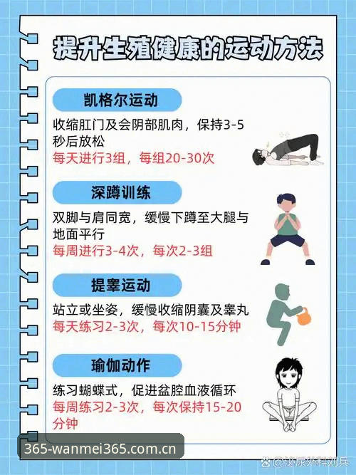 新手必看：使用完美体育K9X3的4个关键步骤与5大功能解析